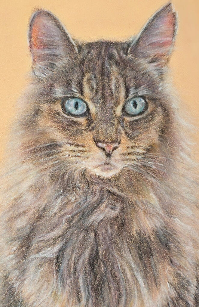 Fancy Pants colour pencil on pastelmat commission example